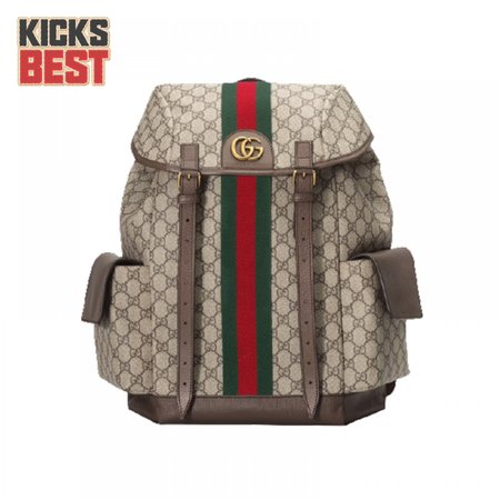 Gucci Ophidia Gg Backpack - GBP107