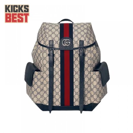 Gucci Ophidia Gg Backpack - GBP109