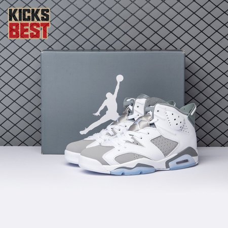 Air Jordan 6 Cool Grey CT8529-100 Size 40-47.5